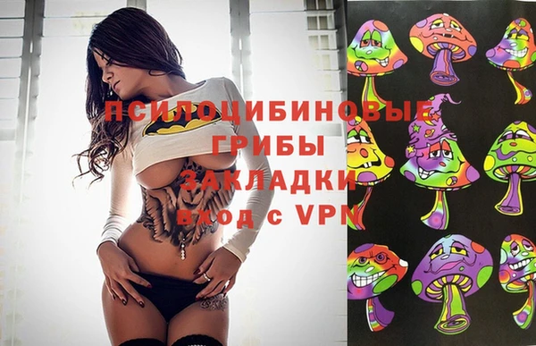 прущий лед Алзамай