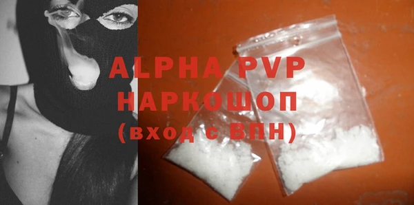 стафф Алексин