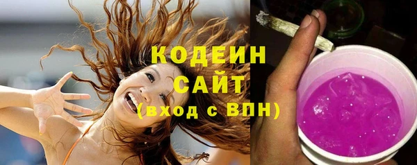 прущий лед Алзамай