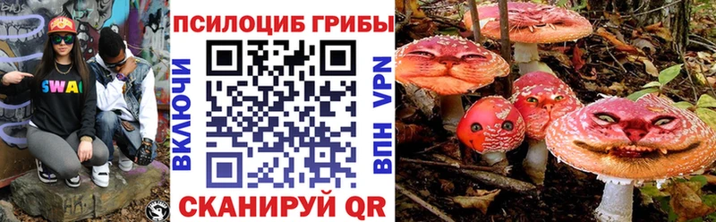 kraken зеркало  Кизел  Псилоцибиновые грибы Cubensis 